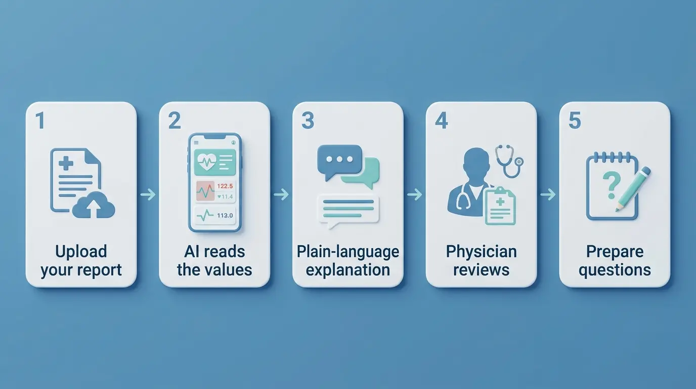 Five steps of how an AI doctor explains results: upload your report, AI reads the values, plain-language explanation, physician reviews, prepare questions